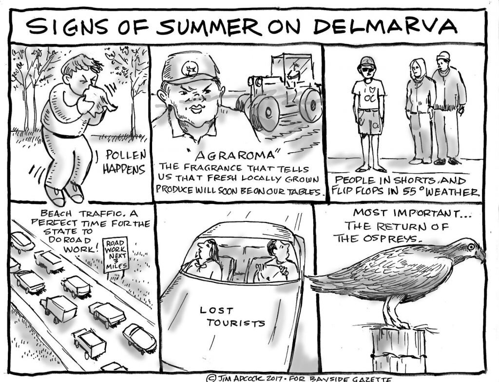 black and white comic summer on delmarva
