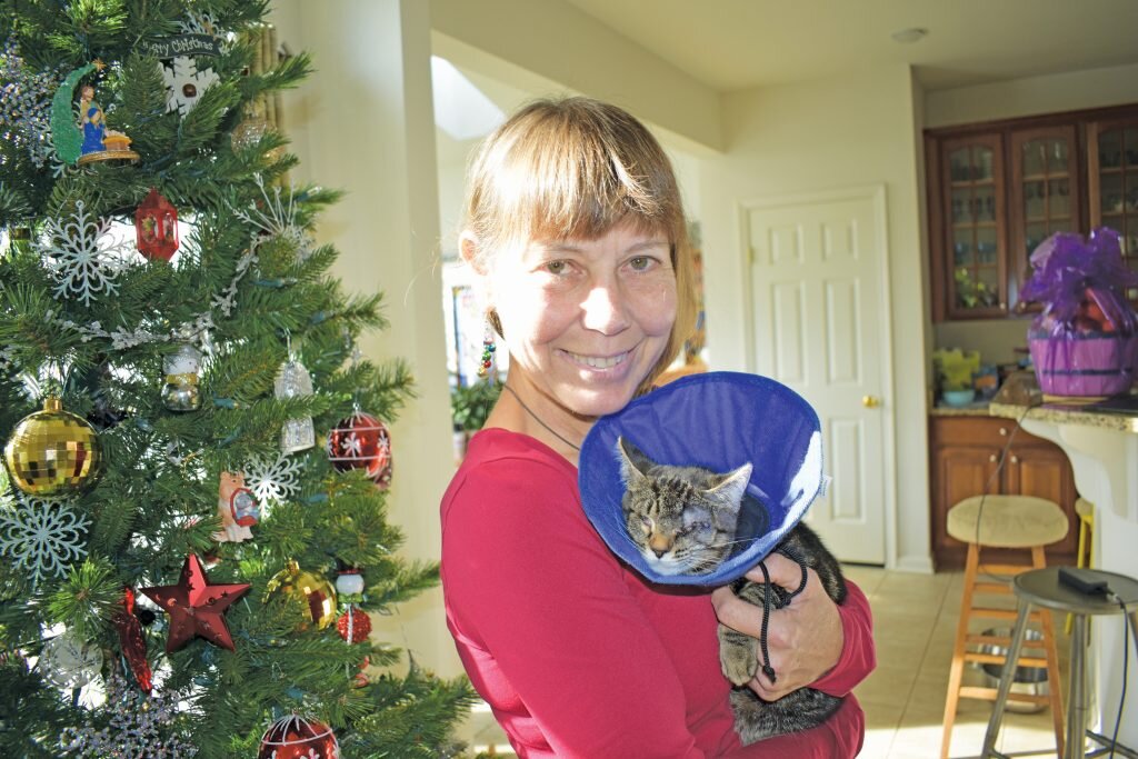 Berlin nonprofit rescues animals Worcester County News Bayside Gazette