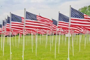 •flags for heroes