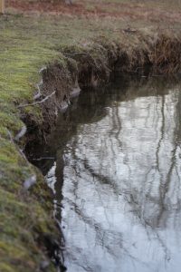 erosion at pond