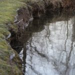 •erosion at pond