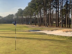 Pines golf