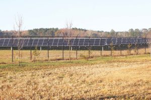 Solar farm-file